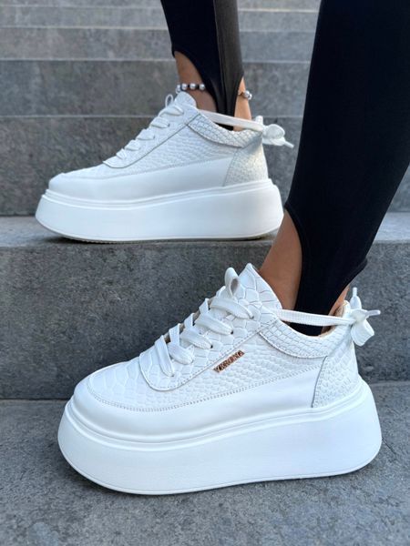 Madison SH-KD3 фото