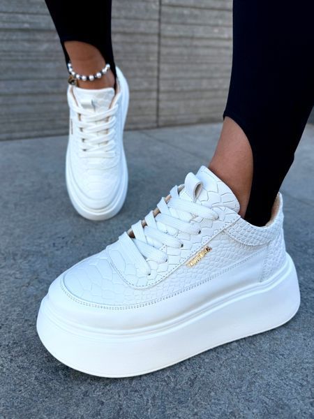 Madison SH-KD3 фото